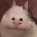ohadXD